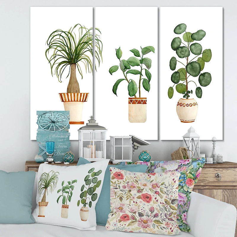 Designart - Trio of House Plants Ponytail Palm and Ficus