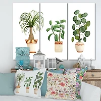 Designart - Trio of House Plants Ponytail Palm and Ficus