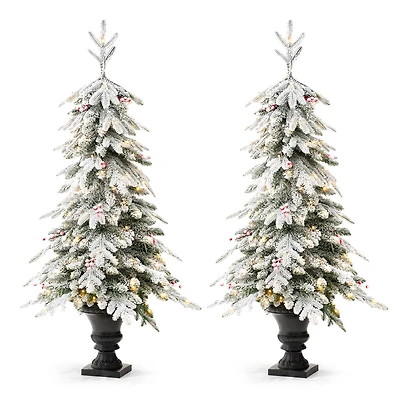 2 Pack 5ft. Pre-Lit Flocked Fir Artificial Christmas Porch Tree in Planter, Warm White Lights