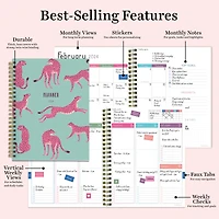 TF Publishing 2024 Pink Panther Medium Planner