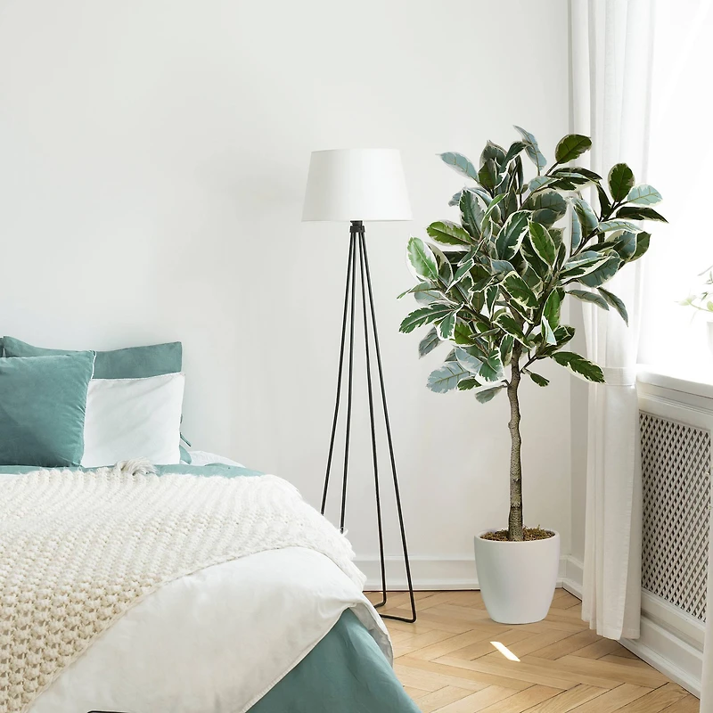 American Art Decor 5ft. Variegated Rubber Tree in White Ceramic Pot