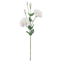 27" Lisianthus Stem by Ashland