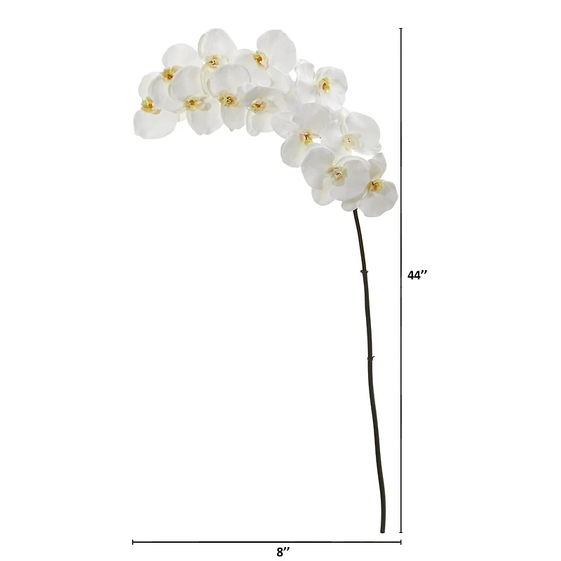 White Moth Orchid Stem, 3ct.