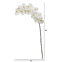 White Moth Orchid Stem, 3ct.