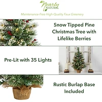 2ft. Pre-Lit Flocked Pine & Berry Artificial Christmas Tree in Burlap Base, Warm White LED Lights