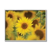 Stupell Industries Yellow Sunflower Nursery Field Directed Focus in Gray Frame Wall Art