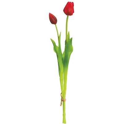 24 Pack: Red Tulip Bundle