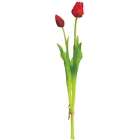 24 Pack: Red Tulip Bundle