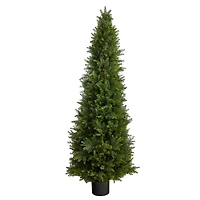 5.5ft. Potted Cypress Cone Topiary Tree