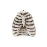 Ribs Bleeding Candle by Ashland®