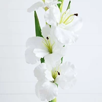 45" White Gladiolus Flower Stems, 3ct.