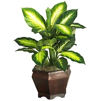 20.5" Golden Dieffenbachia Tree In Wood Vase