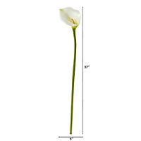 White Calla Lily Flower Stems, 6ct.