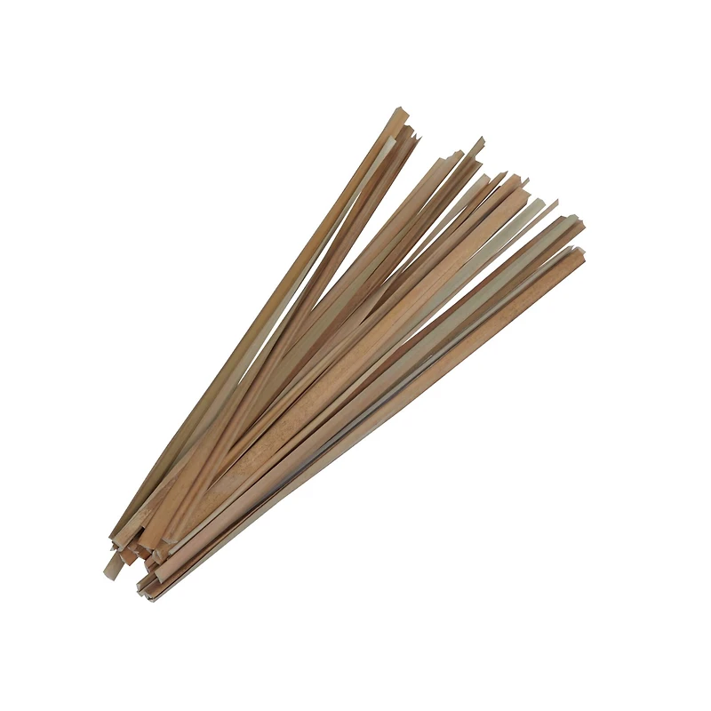 3.5ft. Natural Light Brown Dried Plant Foliage with Slender Stems