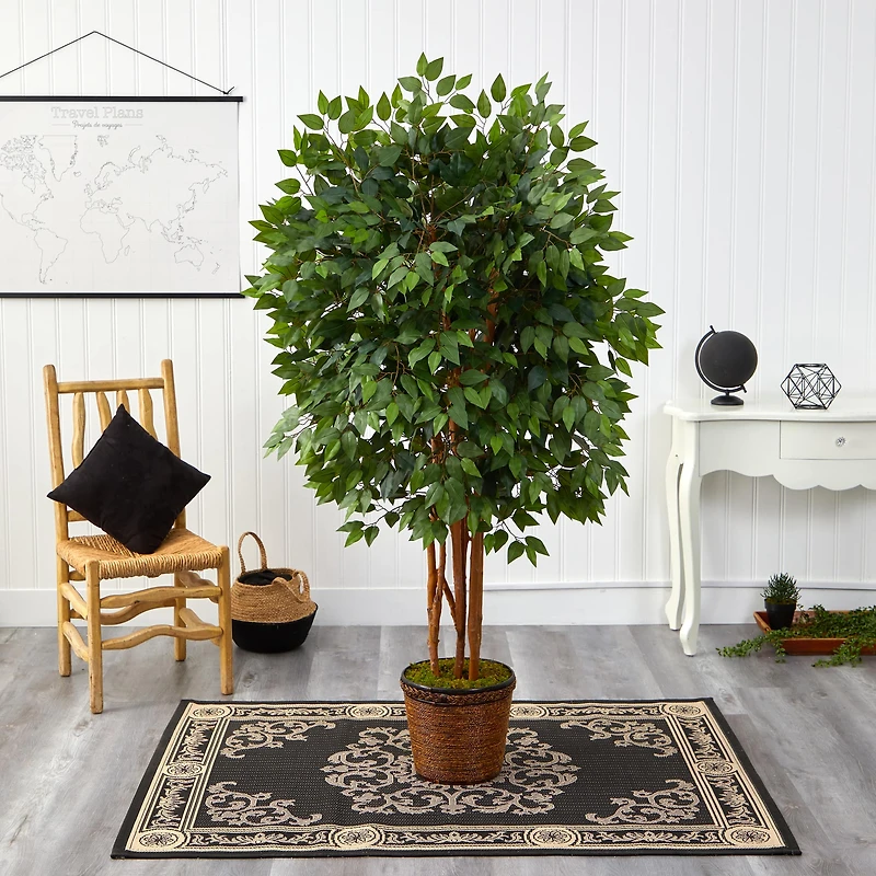 5.5ft. Super Deluxe Ficus Tree in Wicker Planter