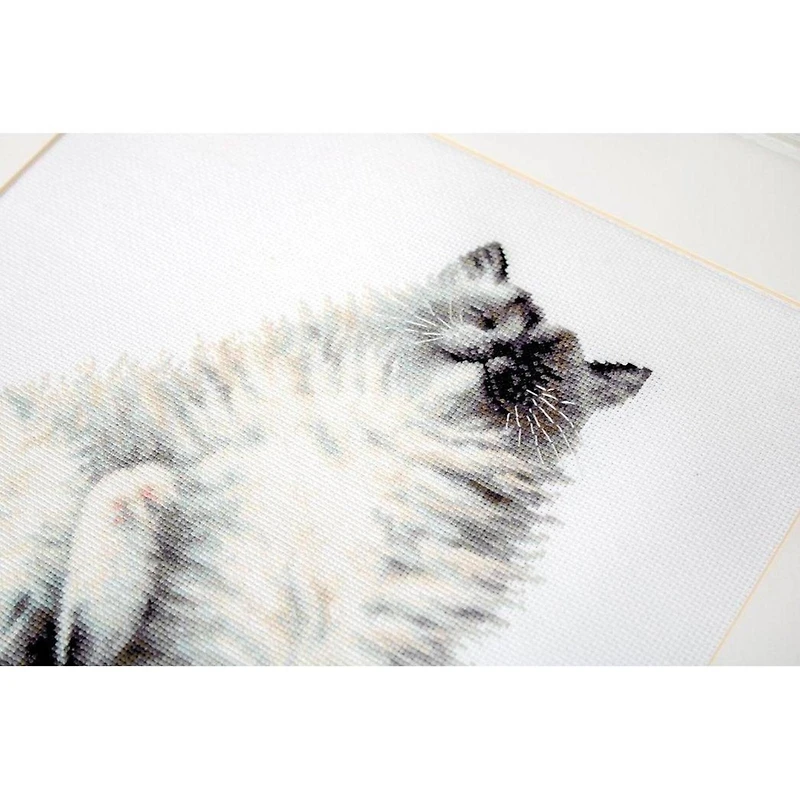 Luca-s Micky Counted Cross Stitch Kit