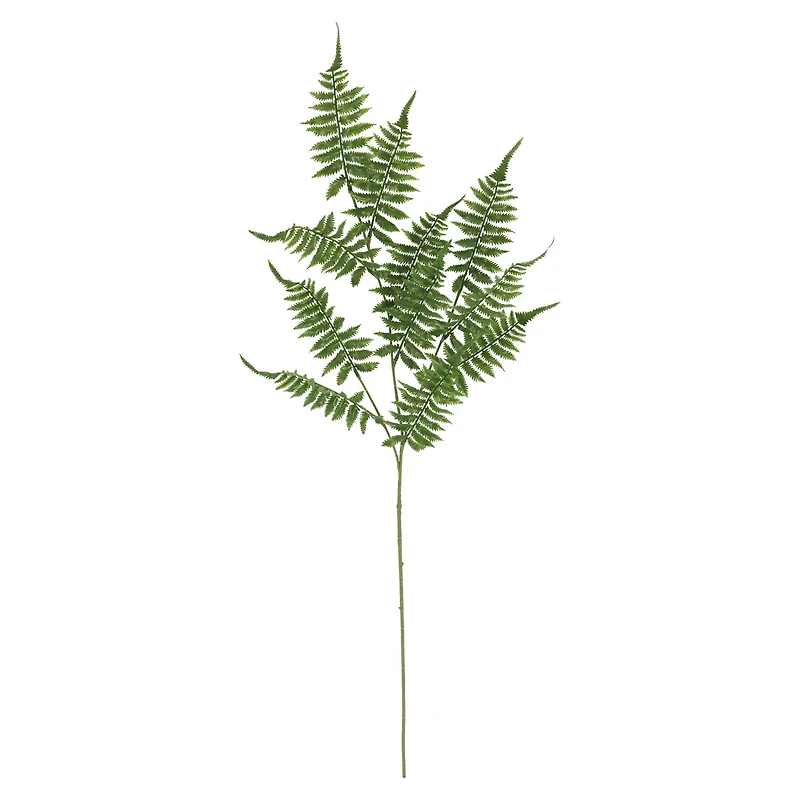 41" Fern Stem by Ashland®