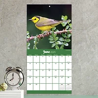 TF Publishing 2025 Backyard Birds Mini Calendar