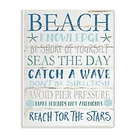 Stupell Industries Beach Knowledge Planked Wall Art Plaque
