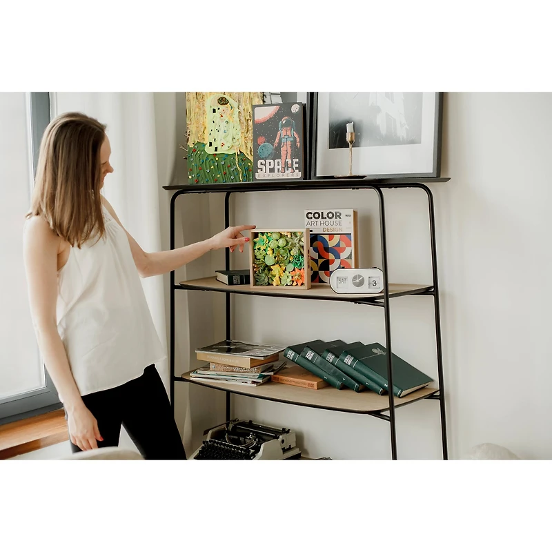 OKTO DIY Wood & Craft Energy Succulents Clay Kit