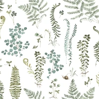 RoomMates White Fern Study Peel & Stick Wallpaper