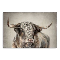 Lumaprints Grand Kyloe Bull Canvas Wall Art