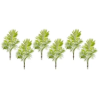 Mini Areca Palm Bushes