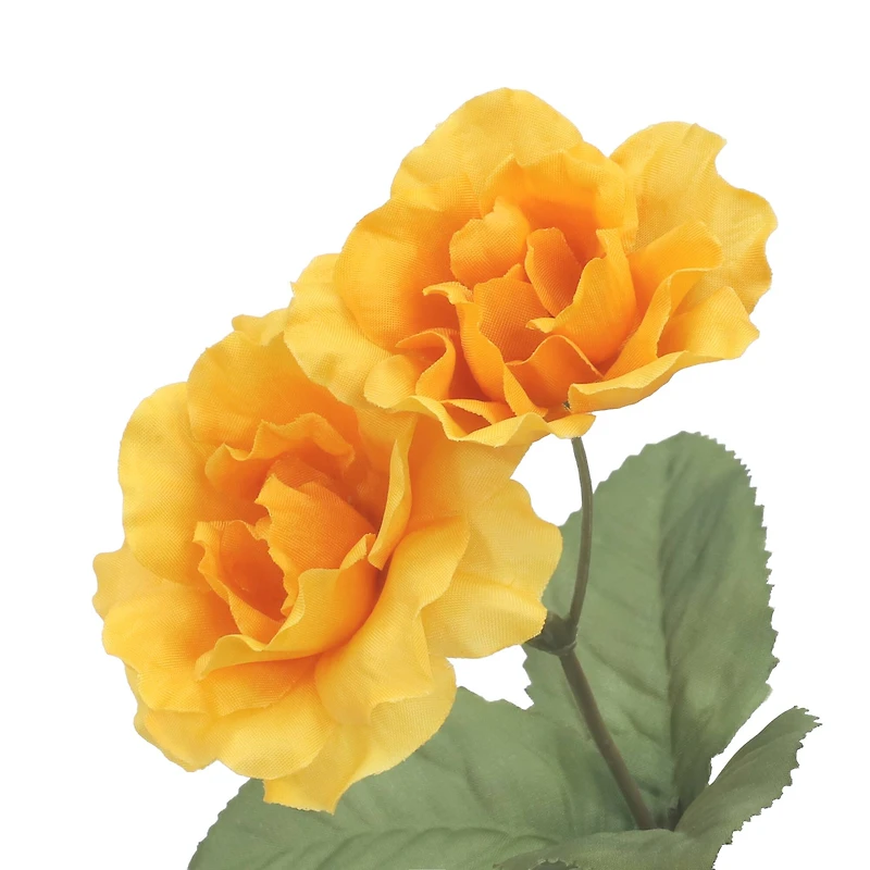 15" Wild Rose Bush by Ashland