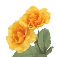 15" Wild Rose Bush by Ashland