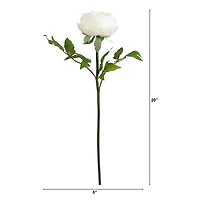 20" White Peony Flower Stems, 3ct.