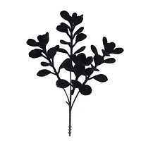 10" Black Boxwood Pick by Ashland®