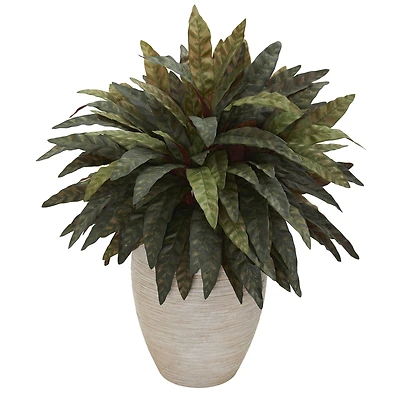 2.5ft. Peacock Plant in Sand Colored Oval Planter