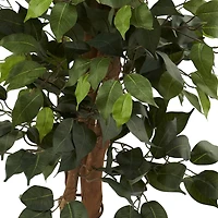 3.5ft. Ficus Tree in Decorative Planter