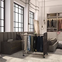 NEX™ Brown 20-Hanger Rolling Trolley Closet Organizer