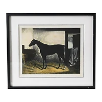 Hello Honey® Framed Horse Print Wall Hanging