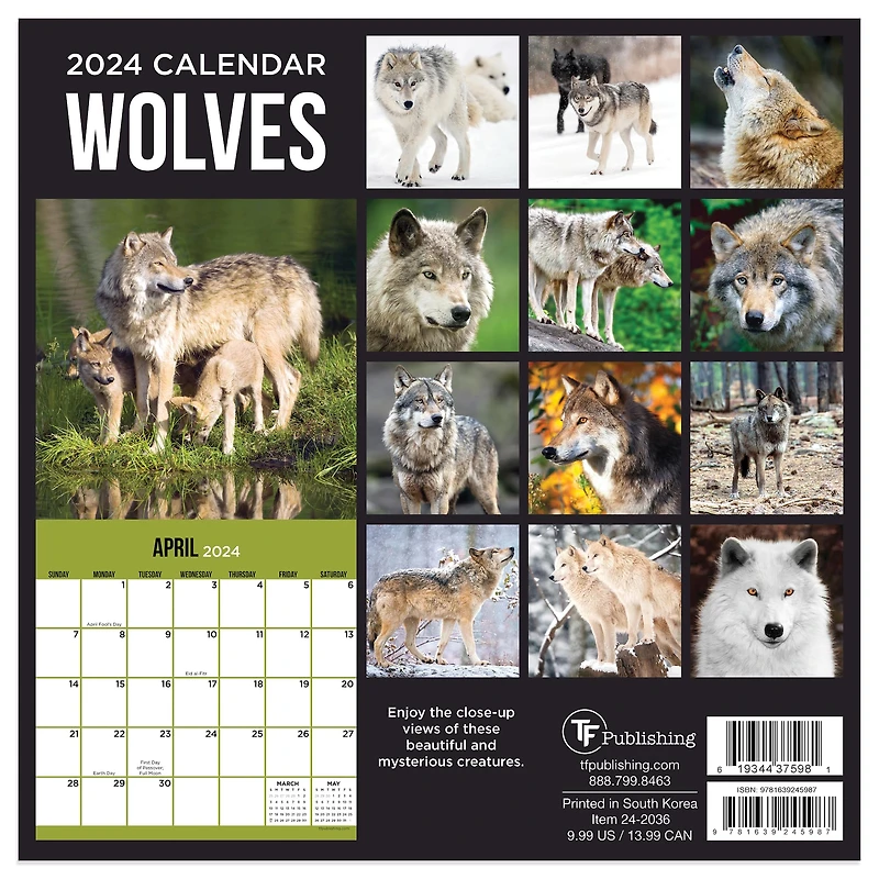 TF Publishing 2024 Wolves Mini Calendar