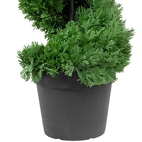 5ft. Unlit Artificial Cedar Spiral Topiary Tree in Black Pot