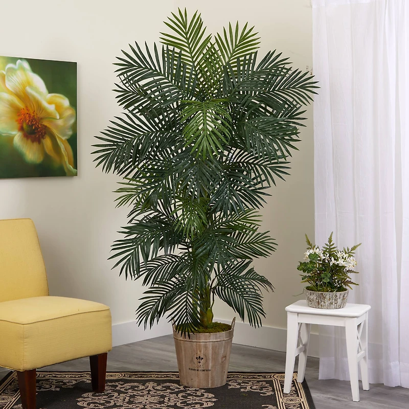 6ft. Golden Cane Palm Tree in Wooden Planter