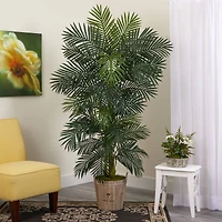 6ft. Golden Cane Palm Tree in Wooden Planter
