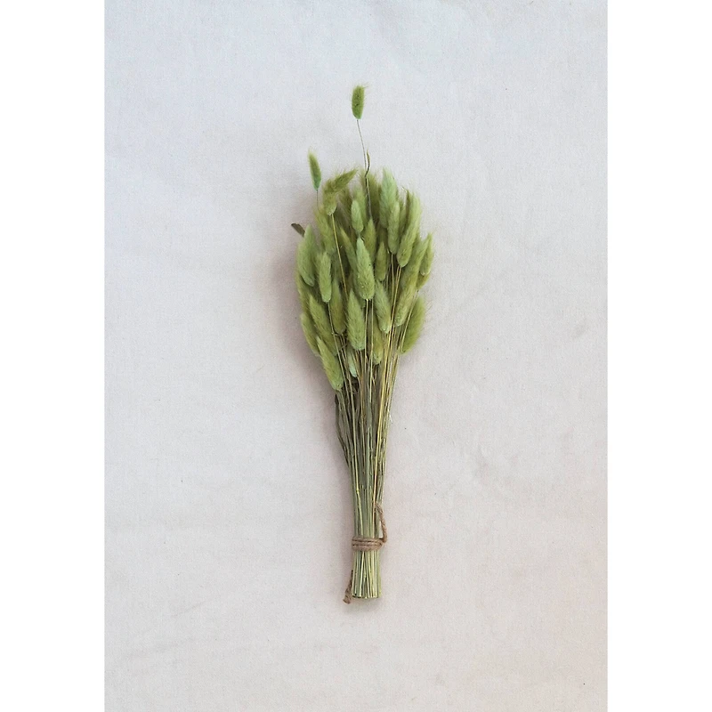 Hello Honey® Dried Natural Bunny Tail Grass Bunch