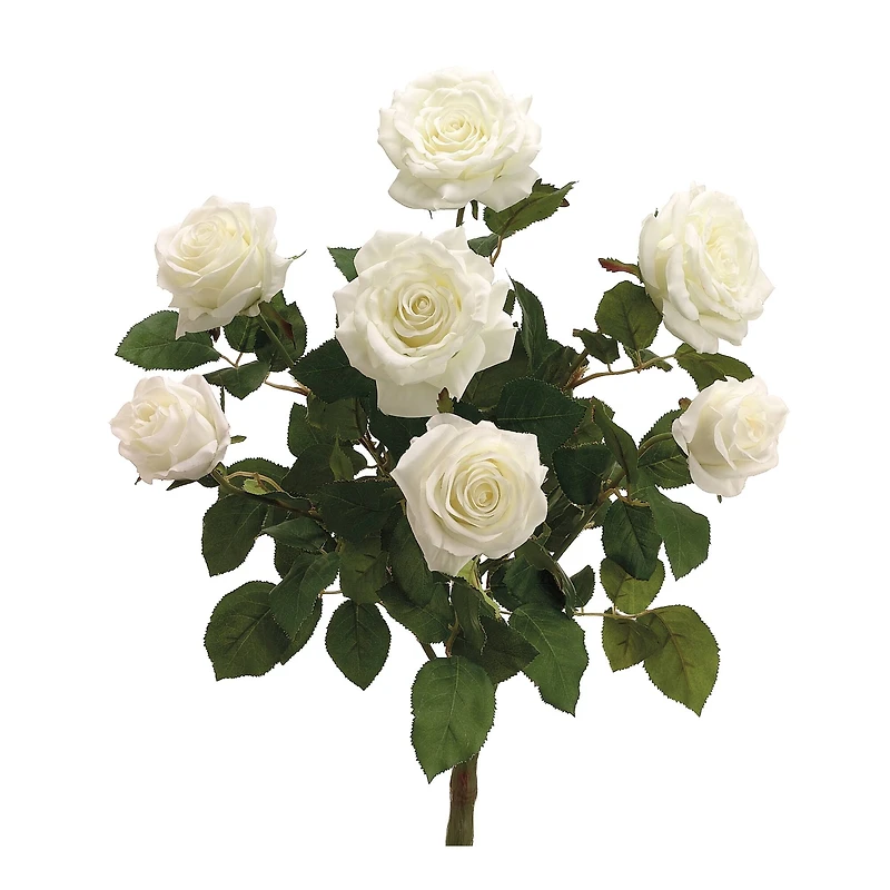 Cream Confetti Rose Bush