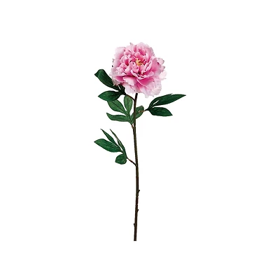 Pink Peony Stem