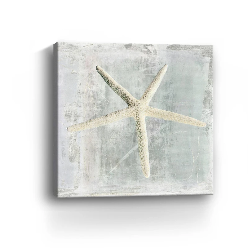 Starfish Canvas Giclee