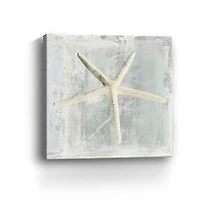 Starfish Canvas Giclee