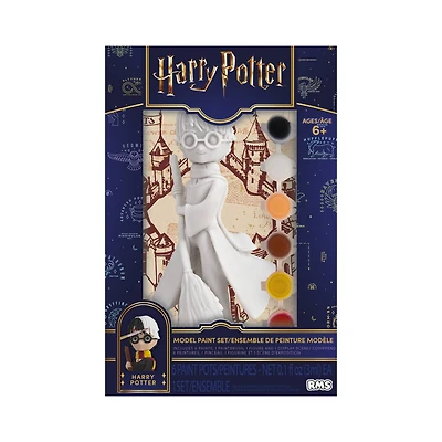 Harry Potter™ Paint Your Own Harry Model Set