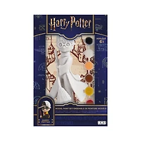 Harry Potter™ Paint Your Own Harry Model Set
