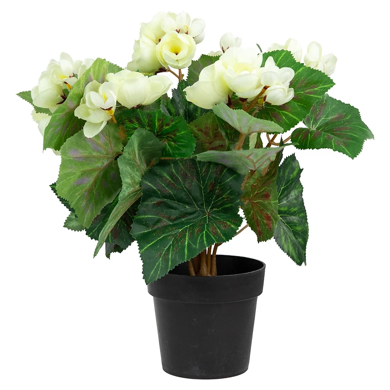 11" Cream Potted Silk Begonia Floral Arrangement