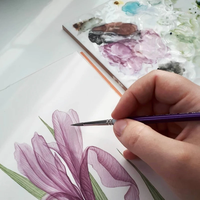 Silver Brush Limited Silver Silk 88® 5 Piece Round Brush Set