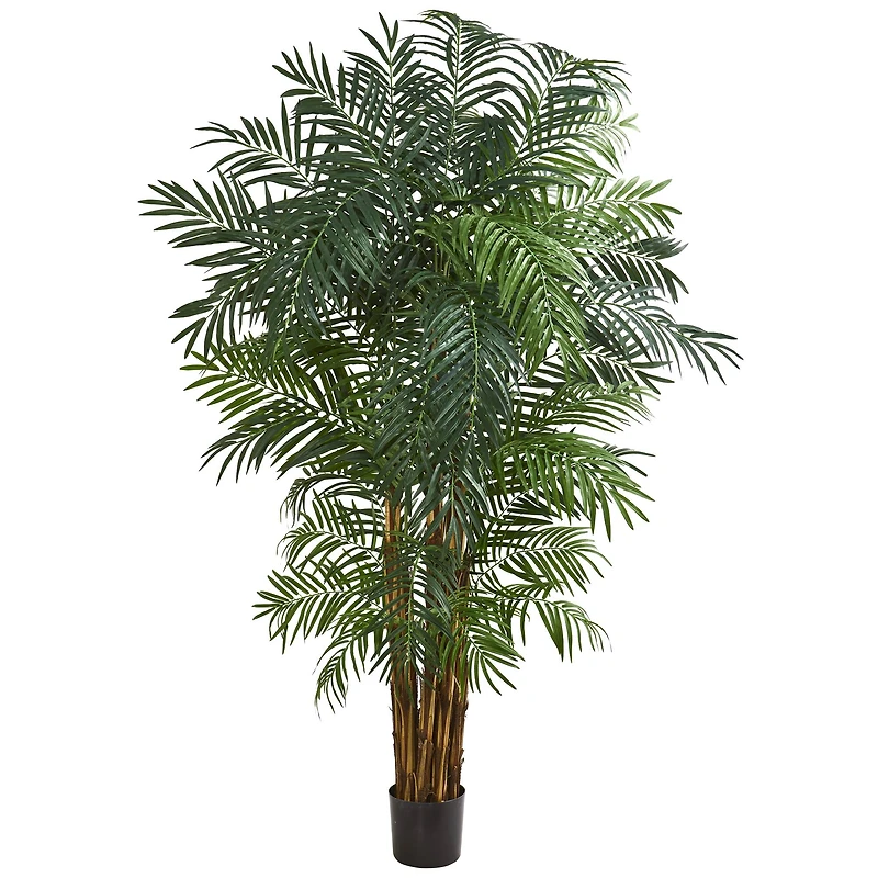 7ft. Potted Areca Palm Tree
