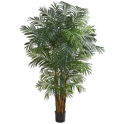 7ft. Potted Areca Palm Tree 